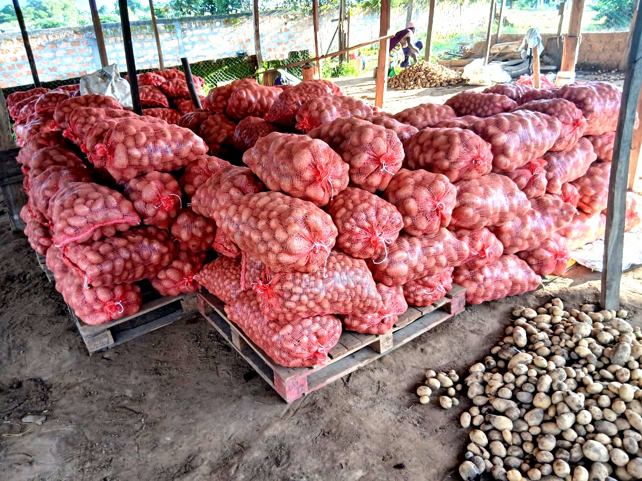 Stockage