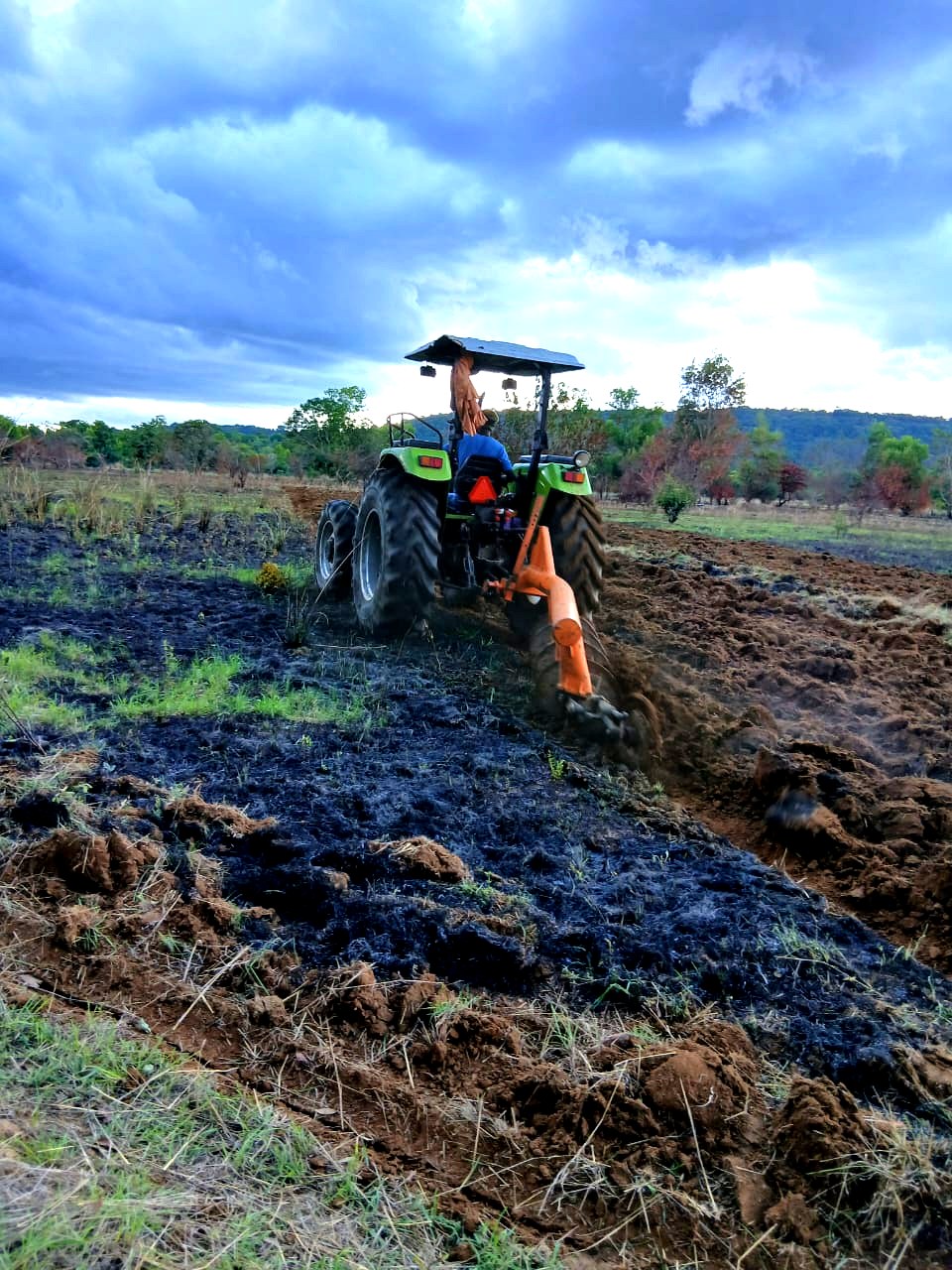 TANE Agri-Business Guinée